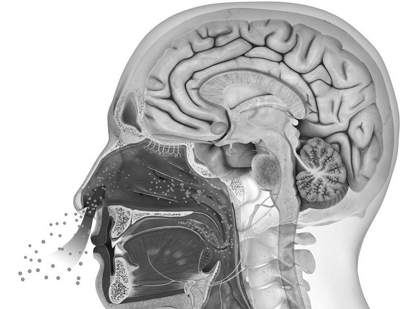 餐飲店室內(nèi)設(shè)計(jì)：氣味心理學(xué)研究